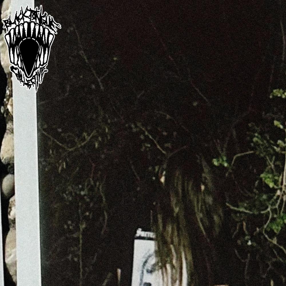 Veins (Explicit)