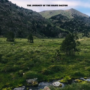 Album The Journey of the Brave Dalton from Charlie