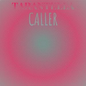 Various Artists的專輯Tarantella Caller