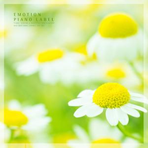 Listen to A warm voice song with lyrics from Lovely Notes