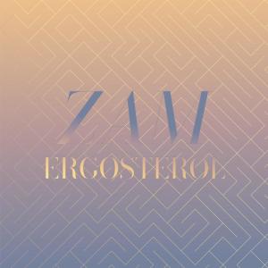 Album Zam Ergosterol from 