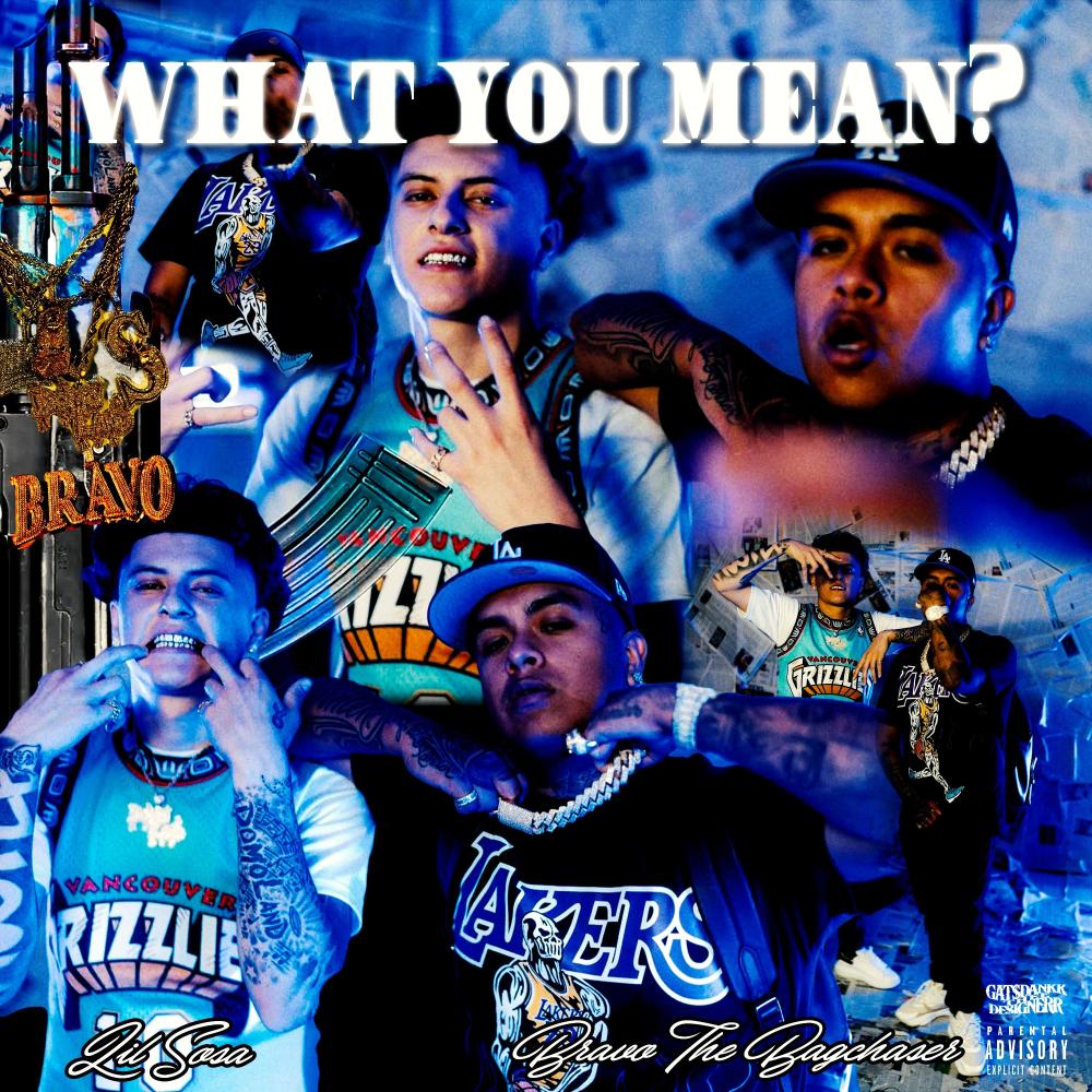 What You Mean (feat. Bravo The Bagchaser) (Explicit)