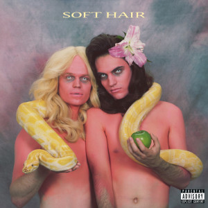 ดาวน์โหลดและฟังเพลง i.v. (Explicit) พร้อมเนื้อเพลงจาก Soft Hair