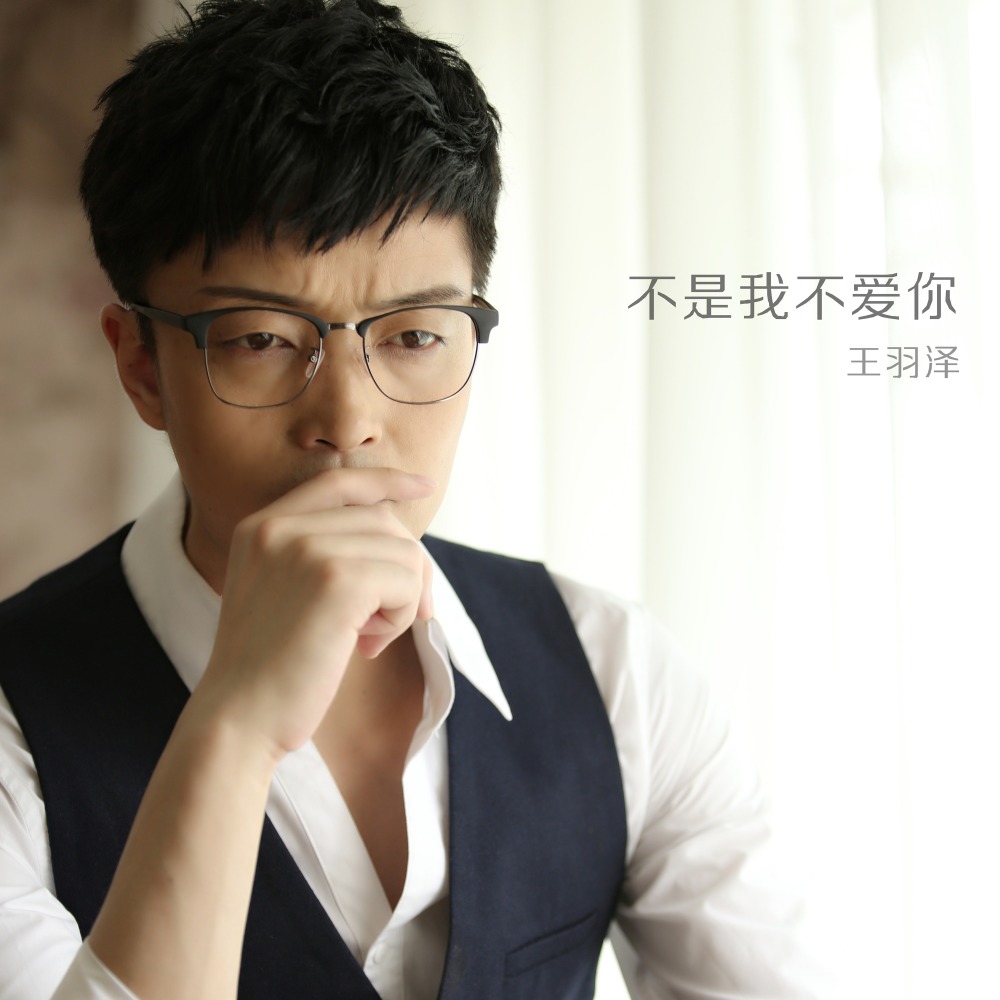 不是我不爱你 (伴奏版)