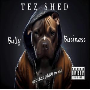 Tez Shed的專輯Bully Business (Explicit)