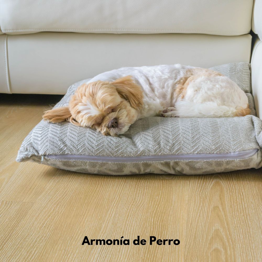 Ladrido de Plenitud de Canción de Cuna