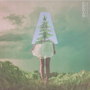 Album Cedar from 오만