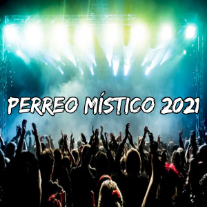 收听Dj Perreo Brasileiro的Perreo Místico 2021歌词歌曲