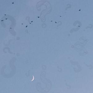 收聽DekuScrub02的??? 4ppl (Explicit)歌詞歌曲