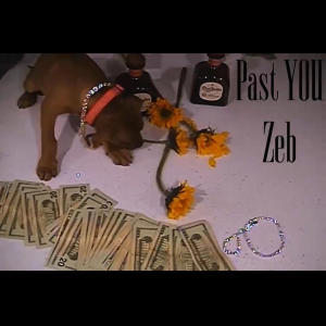 Zeb的專輯past YOU (Explicit)