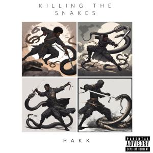 อัลบัม Killing The Snakes (Explicit) ศิลปิน Pakk