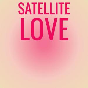 อัลบัม Satellite Love ศิลปิน Various