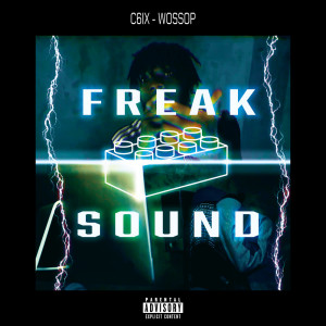 Listen to Wossop (feat. C6ix) (Explicit) song with lyrics from Freak Sound Central