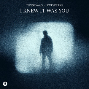 ดาวน์โหลดและฟังเพลง I Knew It Was You พร้อมเนื้อเพลงจาก Martin Tungevaag