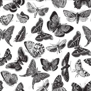 Listen to Ephemeral song with lyrics from Lil Kennedy