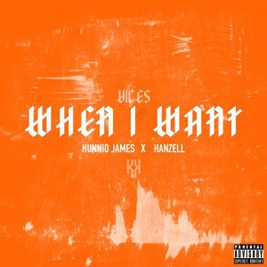 收聽Hunnid James的When I Want (Explicit)歌詞歌曲