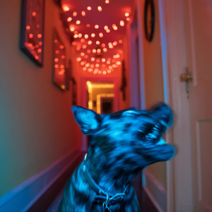 收听The World Is A Beautiful Place & I Am No Longer Afraid To Die的In Circles歌词歌曲