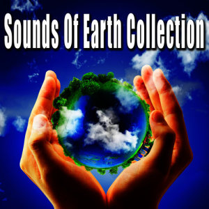 收聽Nature Soundscapes的Small Waterfall Close up with Constant Flow (Water Ambience Sound Effects)歌詞歌曲
