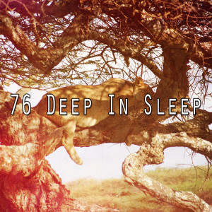 收听Lounge relax的Create Your Dreams歌词歌曲