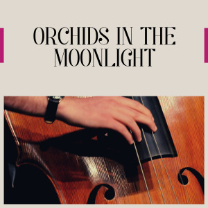 Hugo Winterhalter & His Orchestra的专辑Orchids in the Moonlight