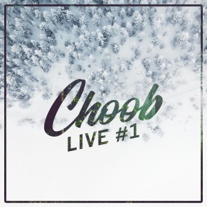 Listen to Bluebird (Live #1) (Live) song with lyrics from Choob