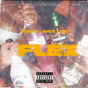 Listen to Flex (Explicit) song with lyrics from DJ Greezy
