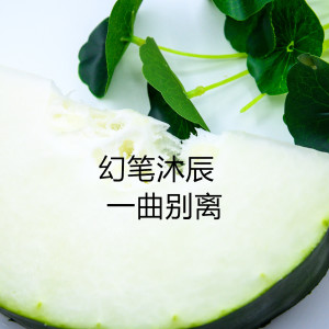 Album 一曲别离 from MC幻笔沐辰