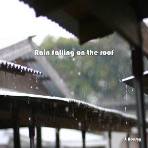 收聽J.Roomy的Rain Falling On The Roof (White Noise, ASMR, Nature Sound)歌詞歌曲