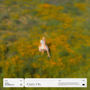 Listen to Carry On song with lyrics from sznl.
