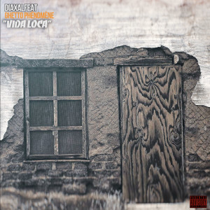 ดาวน์โหลดและฟังเพลง Vida Loca (Explicit) พร้อมเนื้อเพลงจาก Diaxal