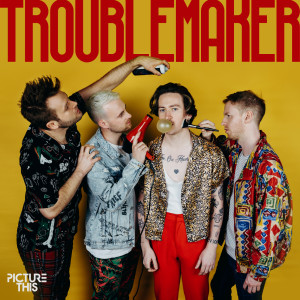 ดาวน์โหลดและฟังเพลง Troublemaker (Explicit) พร้อมเนื้อเพลงจาก Picture This