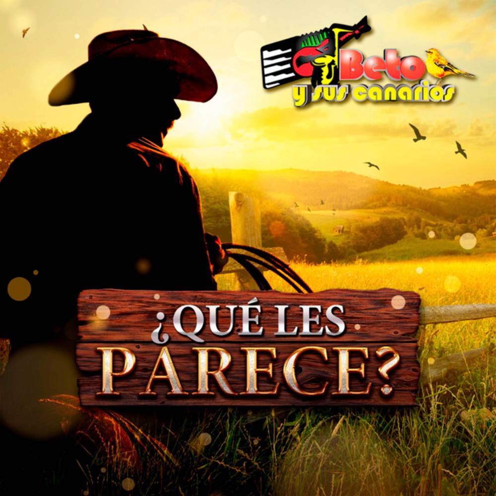 ¿Qué Les Parece?