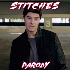 收聽Bart Baker的Stitches Parody歌詞歌曲