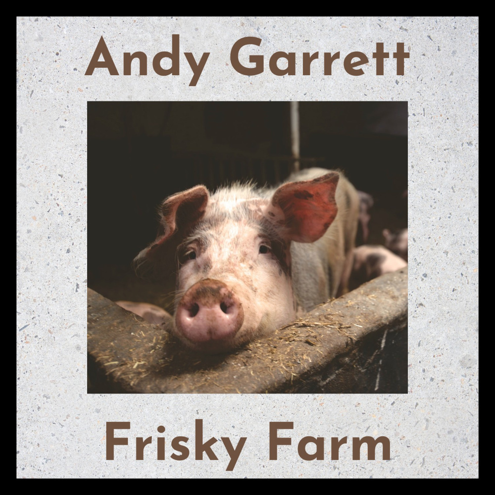 Frisky Farm (Instrumental Guitar)