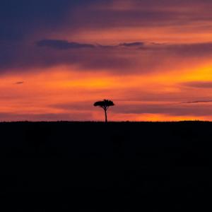 Listen to in a while song with lyrics from desert date.