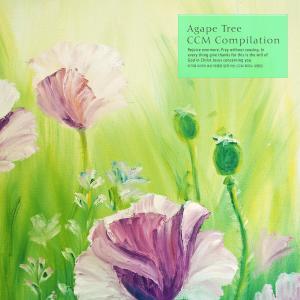 Album Agape Tree CCM Piano Collection oleh Various Artists