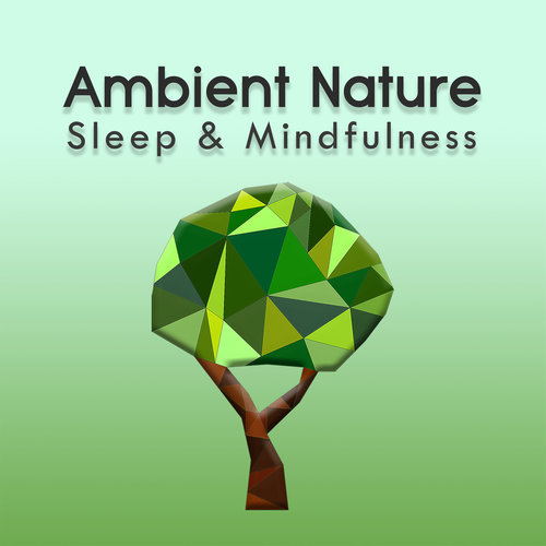 Ambient Nature Sleep Sounds, Pt. 16