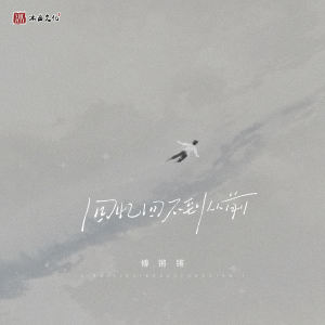 Album 回忆回不到从前 from 傅锵锵