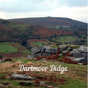 Album Dartmoor Didge oleh John Thorpe