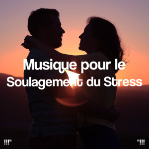 !!!" Musique pour le soulagement du stress "!!!