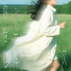 Album 你恰似一阵风 from 李二萌