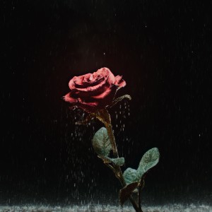 Listen to Dert Etme song with lyrics from Çağın