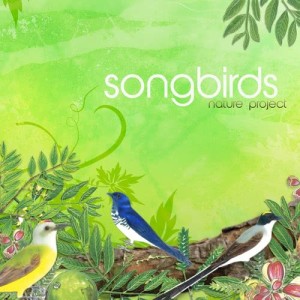 ดาวน์โหลดและฟังเพลง Gorjeios พร้อมเนื้อเพลงจาก Nature Project
