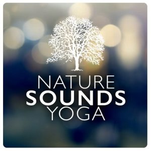 收聽Nature Sounds 2015的A Meeting of Streams歌詞歌曲