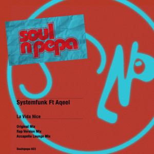 Listen to La Vida Nice (Acapella Lounge Mix) song with lyrics from Systemfunk