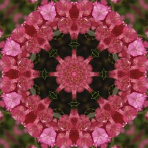 ดาวน์โหลดและฟังเพลง Tibetan Singing Bowls - C# Root Chakra Earth Tone - Relaxation and Meditation พร้อมเนื้อเพลงจาก Sonic Yogi