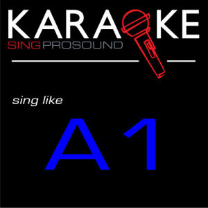收聽ProSound Karaoke Band的Everytime (Karaoke with Background Vocal) [In the Style of A1]歌詞歌曲