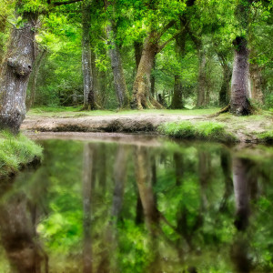 default playlist img