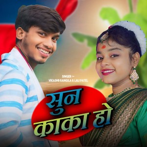 Listen to Sun kaka ho song with lyrics from Vikash Rangila
