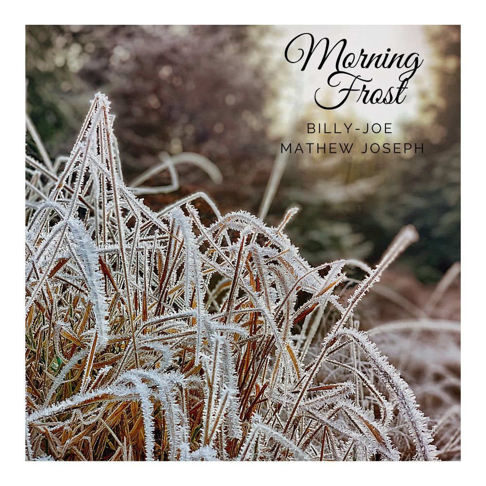 Morning Frost